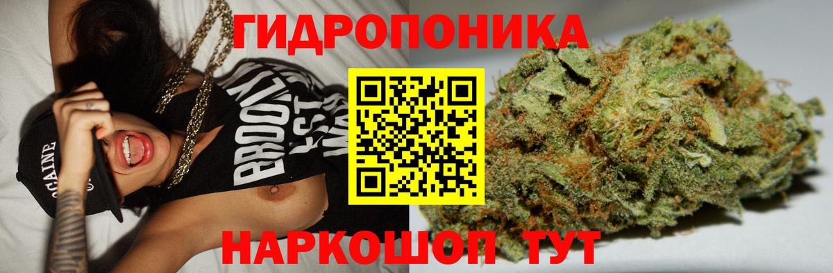 МАРИХУАНА конопля Анжеро-Судженск